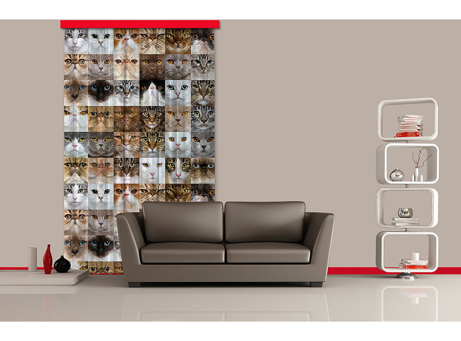 Designový závěs - Kočky 2 - 140x245 cm