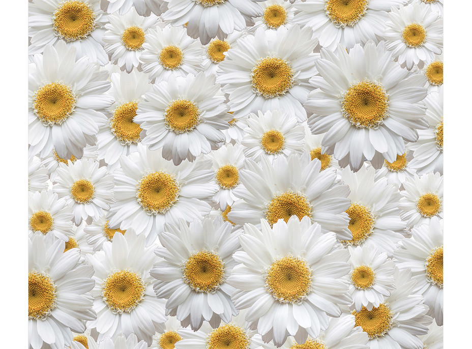 Designový závěs - Bílé květy - 180x160 cm