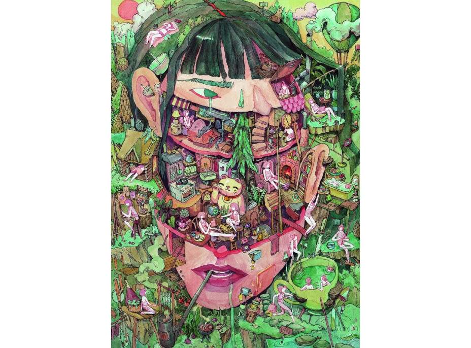 HEYE Puzzle Domov myšlenek 1000 dílků
