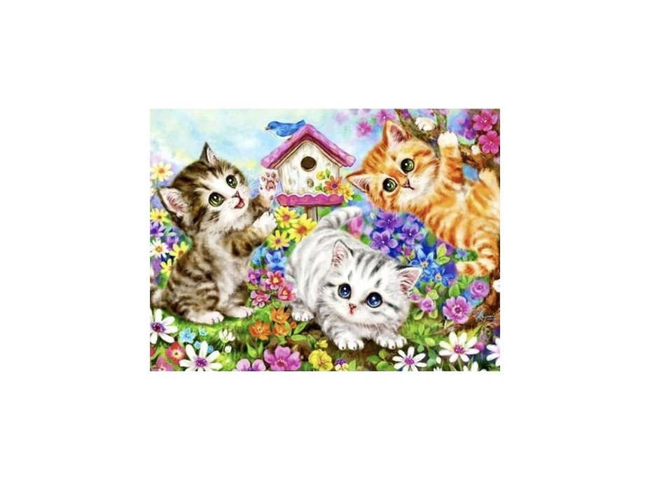 Malování podle čísel 40x50 cm - Kočičky