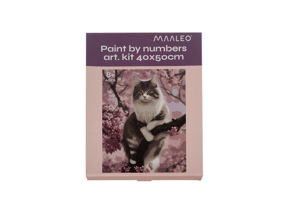 Malování podle čísel 40x50 cm - Kočka