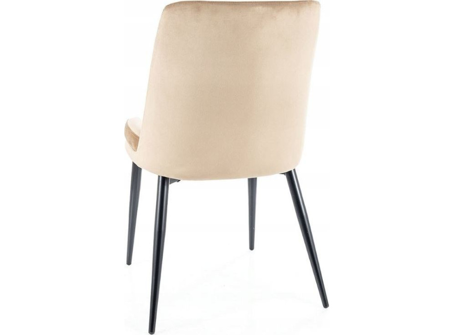 Jídelní židle KAYLA Velvet - béžová/černá