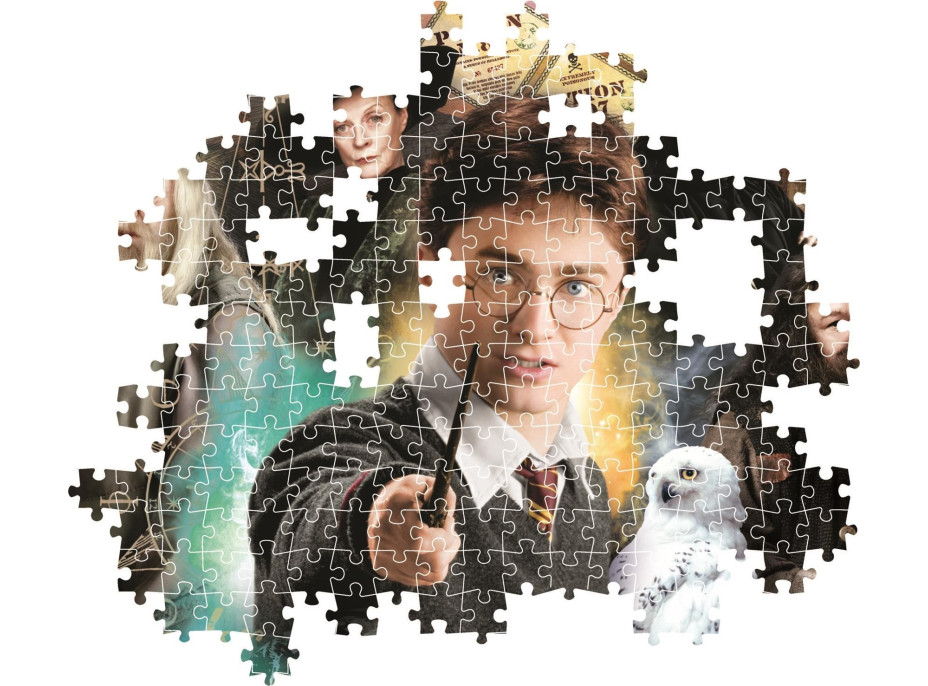 CLEMENTONI Puzzle Harry Potter: Učitelé 1000 dílků
