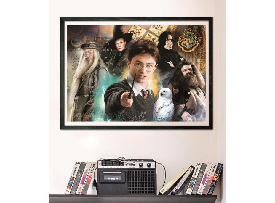 CLEMENTONI Puzzle Harry Potter: Učitelé 1000 dílků