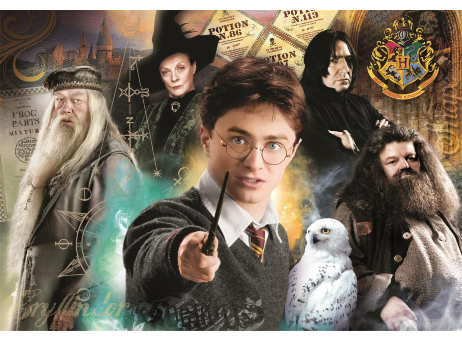 CLEMENTONI Puzzle Harry Potter: Učitelé 1000 dílků