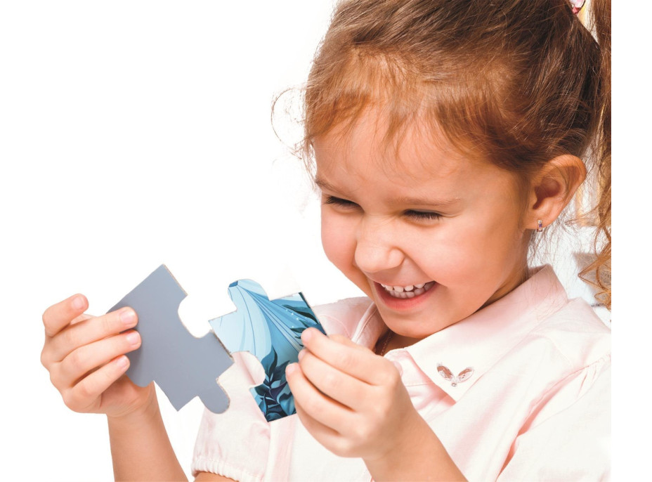 CLEMENTONI Puzzle Sonic MAXI 104 dílků