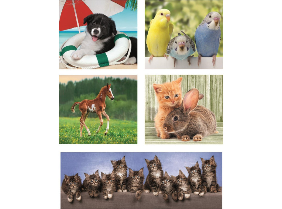 CLEMENTONI Puzzle Zvířecí kamarádi 10v1 (18, 30, 48, 60 dílků)