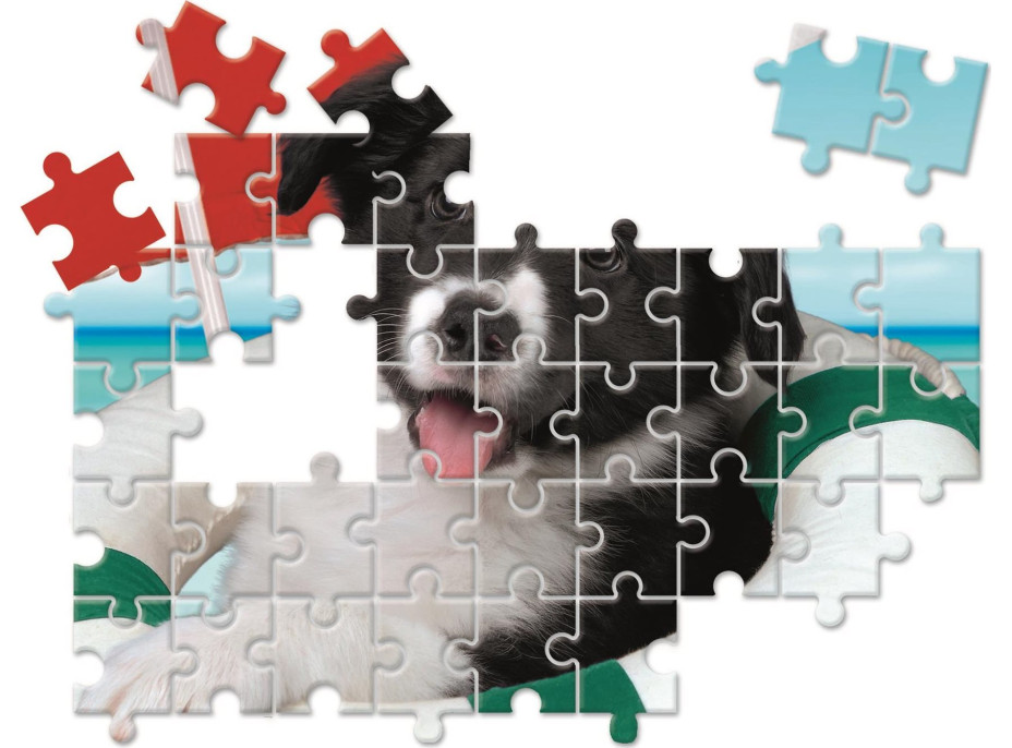 CLEMENTONI Puzzle Zvířecí kamarádi 10v1 (18, 30, 48, 60 dílků)