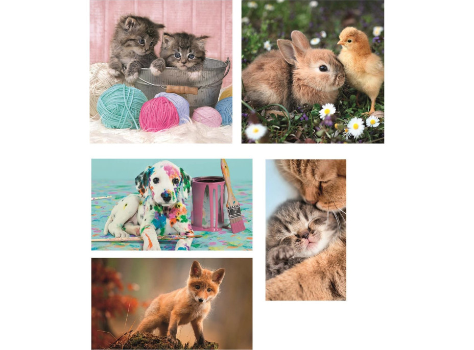 CLEMENTONI Puzzle Zvířecí kamarádi 10v1 (18, 30, 48, 60 dílků)