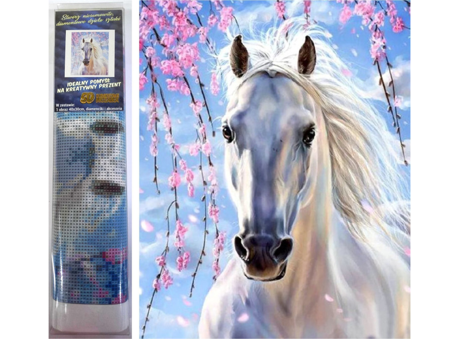 Norimpex Diamantové malování Bílá klisna 30x40 cm