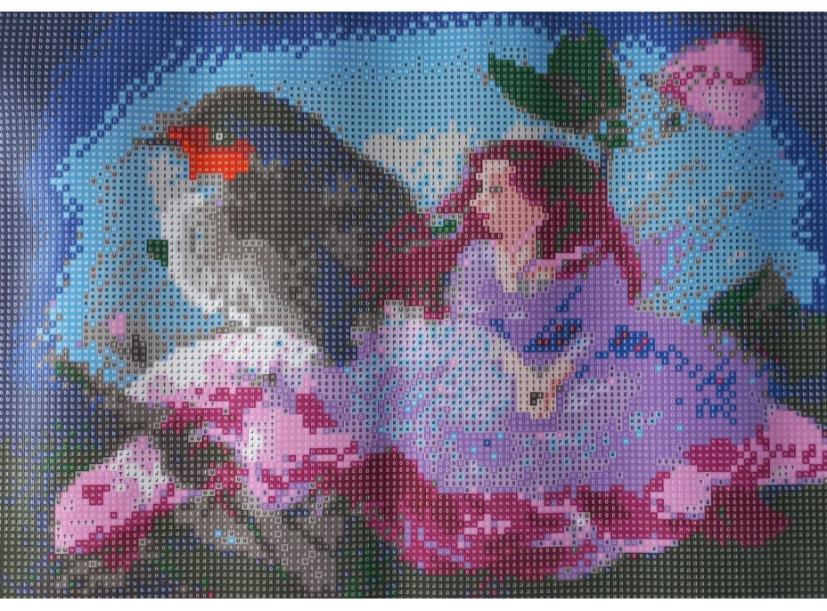 Norimpex Diamantové malování Červenka s květinovou vílou 30x40 cm