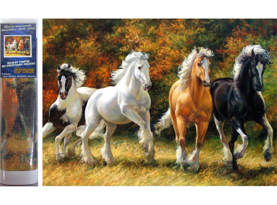 Norimpex Diamantové malování Cválající koně 30x40 cm