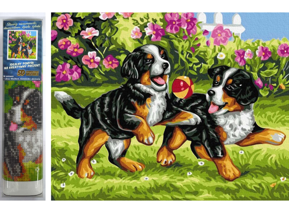 Norimpex Diamantové malování Hravá štěňátka 30x40 cm
