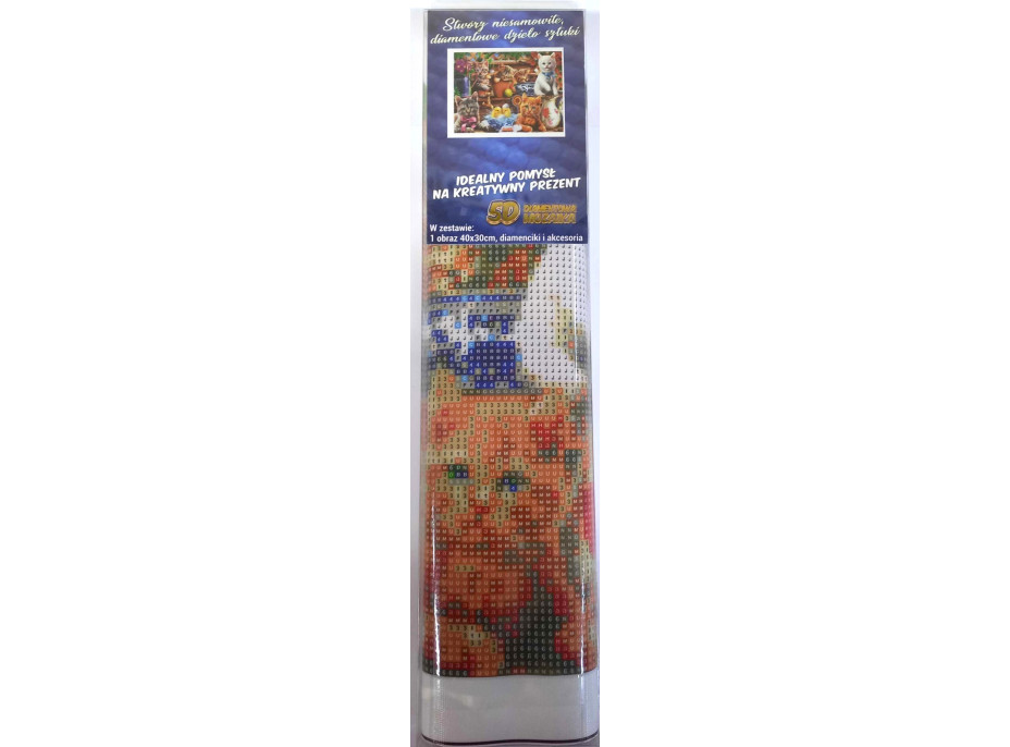 Norimpex Diamantové malování Kočičí police 30x40 cm