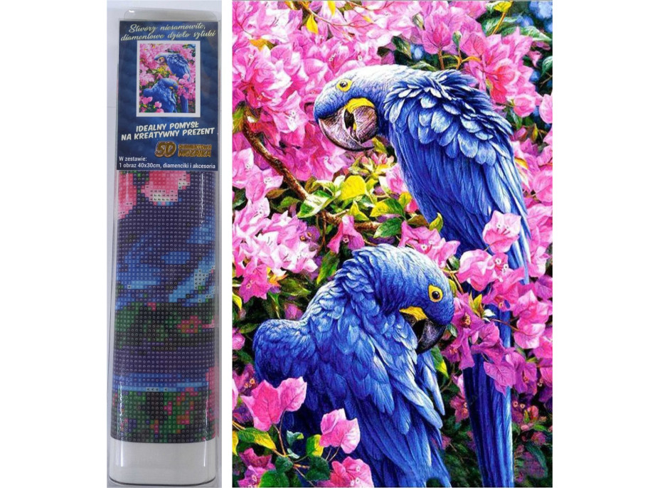 Norimpex Diamantové malování Modří papoušci 30x40 cm