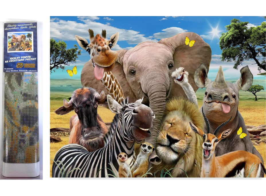 Norimpex Diamantové malování Safari selfie 30x40 cm