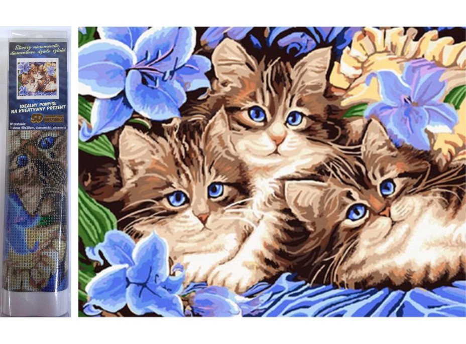Norimpex Diamantové malování Tři koťata v květinách 30x40 cm