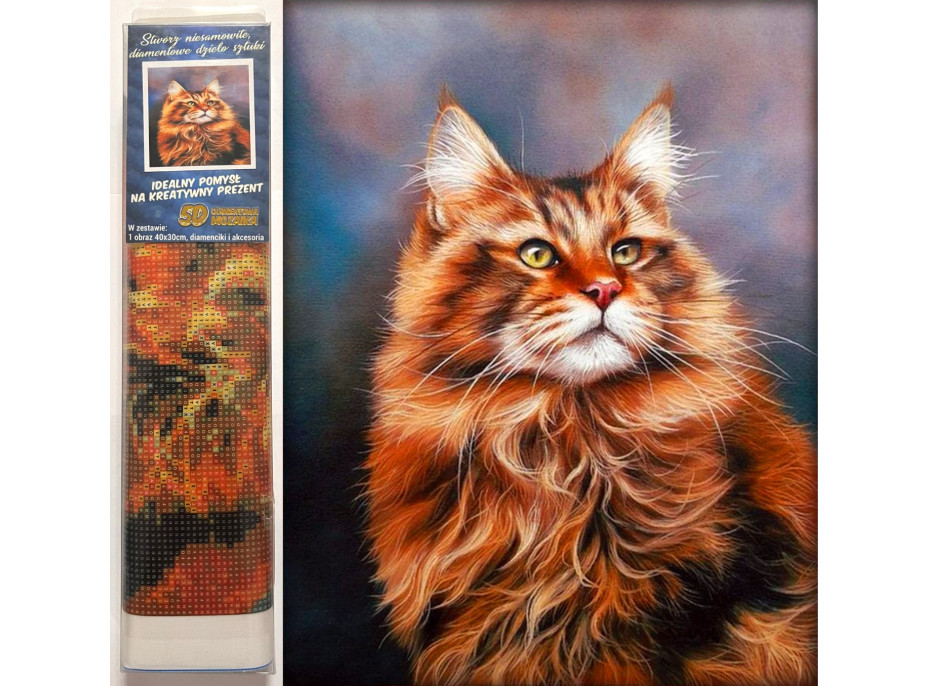 Norimpex Diamantové malování Zrzavý kocour 30x40 cm