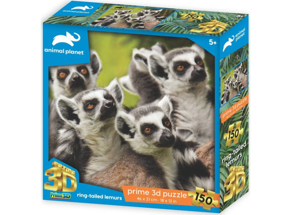 PRIME 3D Puzzle Animal planet: Lemur kata 3D 150 dílků