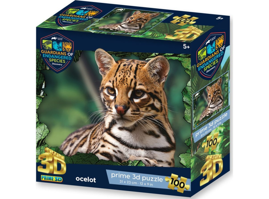 PRIME 3D Puzzle Animal planet: Ohrožené druhy - Ocelot 3D 100 dílků