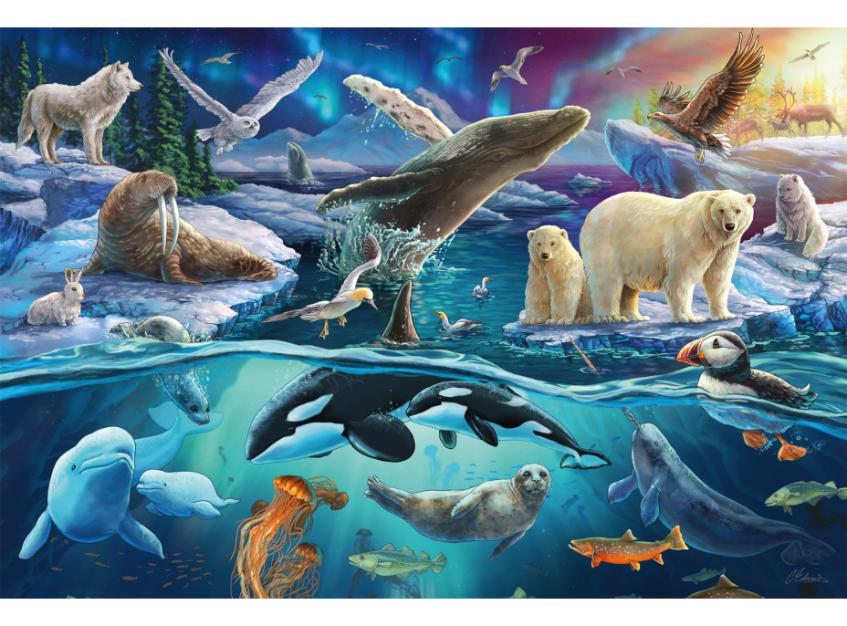 SCHMIDT Puzzle Arktická zvířata 150 dílků