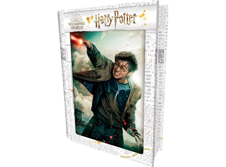 PRIME 3D Puzzle Harry Potter: Harry  3D 300 dílků