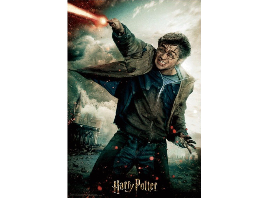 PRIME 3D Puzzle Harry Potter: Harry 3D 300 dílků