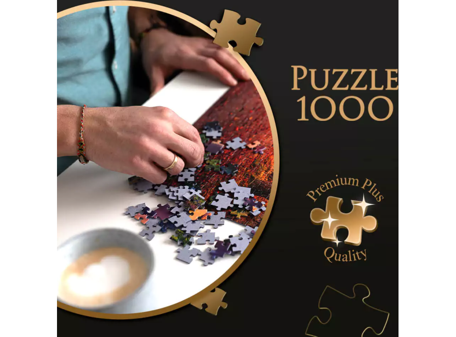 TREFL Puzzle Premium Plus Photo Odyssey: Bodeho muzeum v Berlíně 1000 dílků