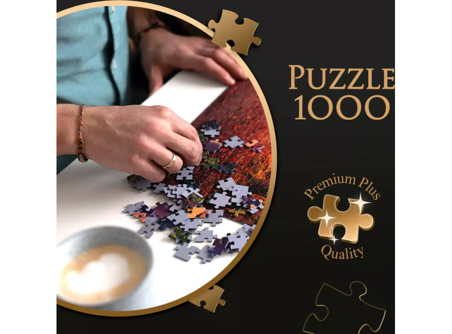 TREFL Puzzle Premium Plus Photo Odyssey: Lauterbrunnen, Švýcarsko 1000 dílků