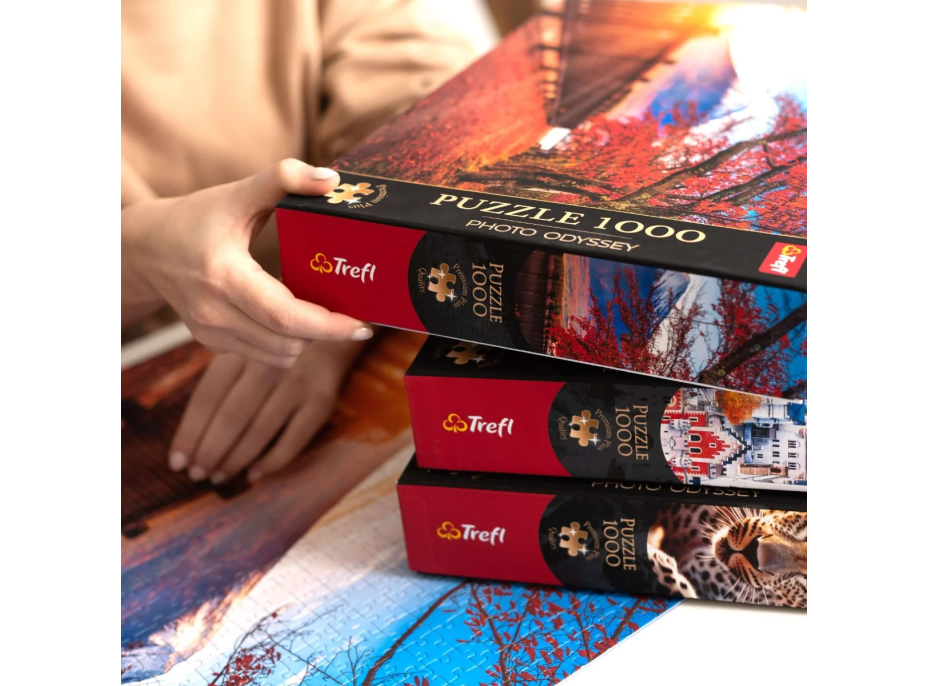 TREFL Puzzle Premium Plus Photo Odyssey: Madeira 1000 dílků