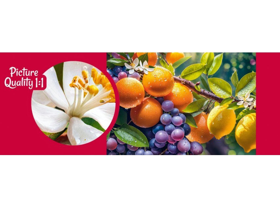 CHERRY PAZZI Puzzle Prosluněné ovoce 1000 dílků