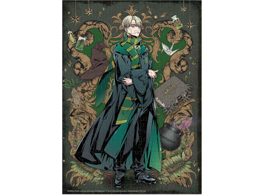 DODO Puzzle Harry Potter: Draco Malfoy 250 dílků