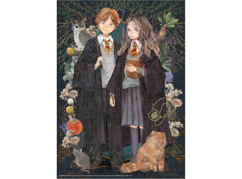 DODO Puzzle Harry Potter: Ron a Hermiona 300 dílků