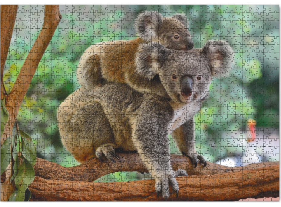 DODO Puzzle Koala s mládětem 1000 dílků