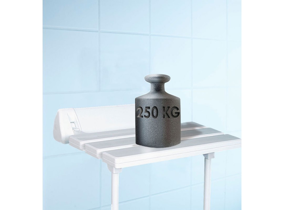 Ridder HANDICAP sklopné sedátko do sprchového koutu s podpěrou, 51x23cm, bílá A0020301