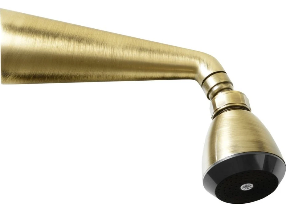 Sapho Nástěnná sprcha s otočným kloubem, bronz 9046