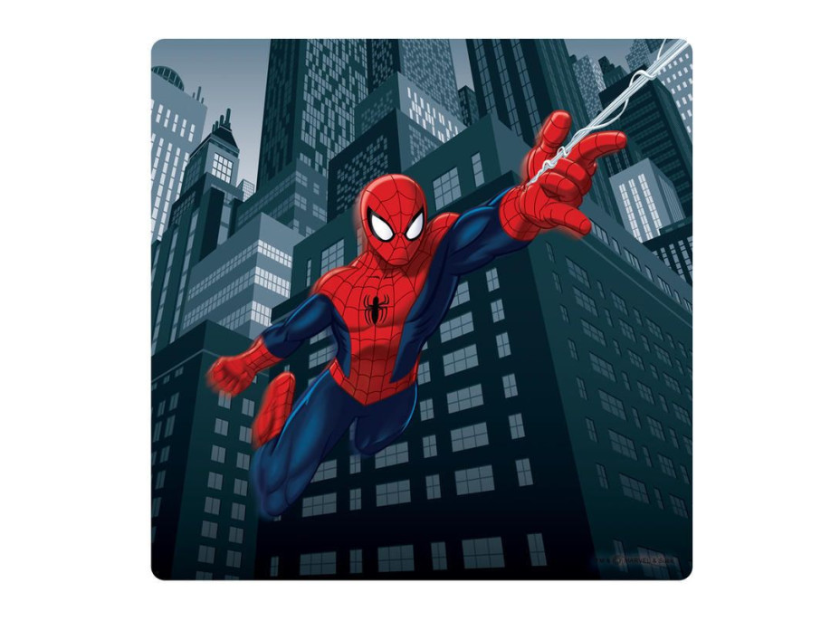 Dekorační obrázek SPIDER-MAN