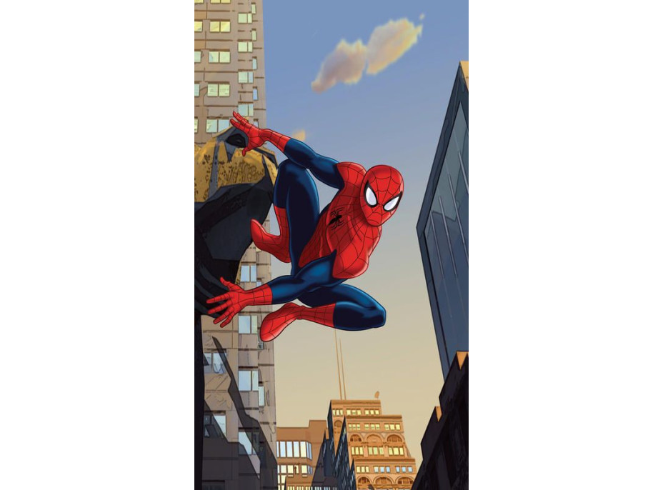 Dětský závěs SPIDER-MAN 2