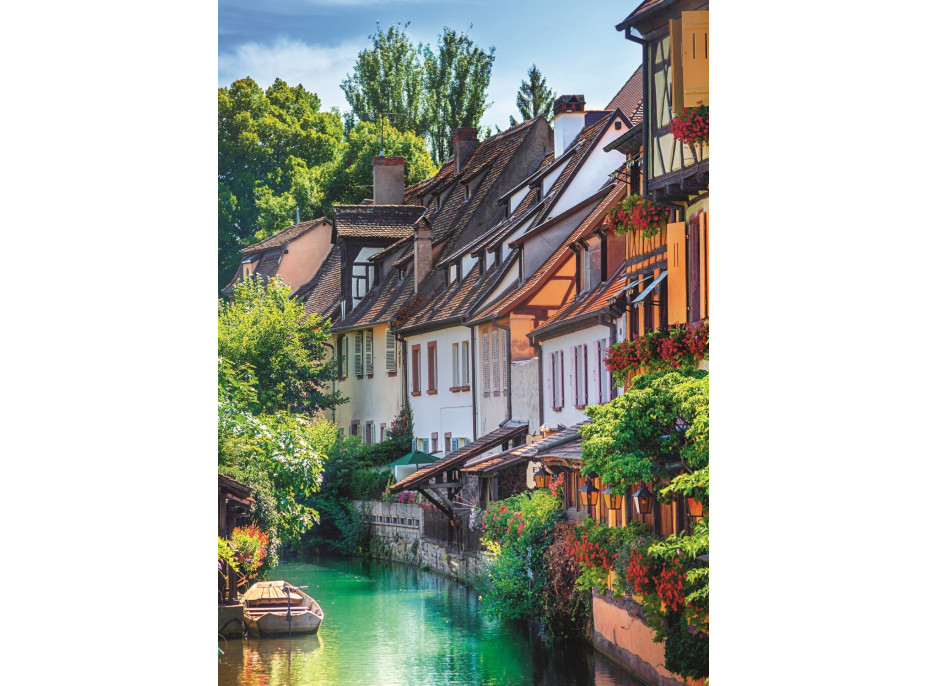 TREFL Puzzle Neobyčejný svět 10v1