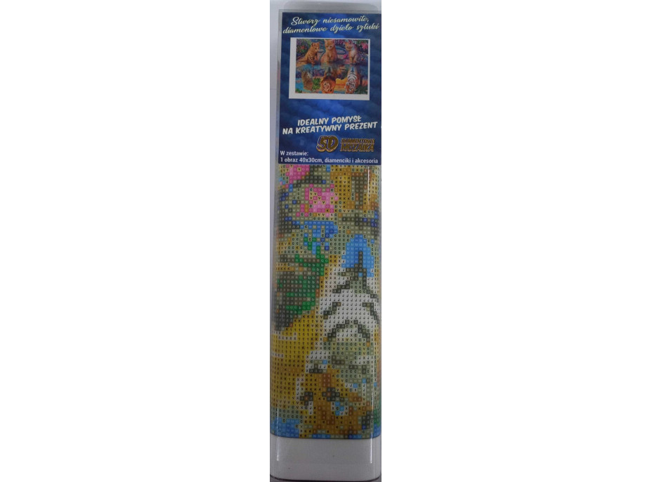 Norimpex Diamantové malování Kočičí sny 30x40cm