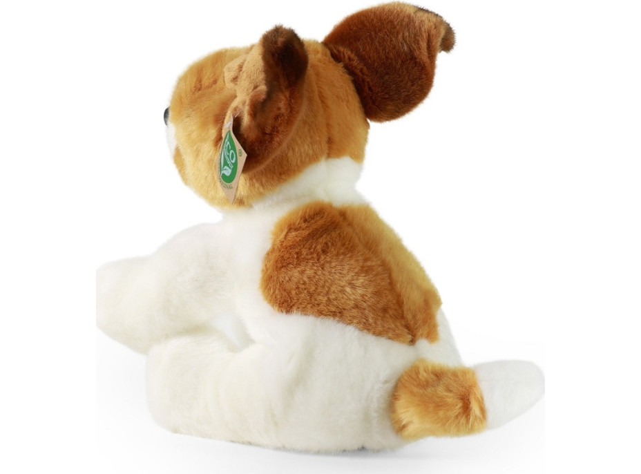 Rappa Plyšový Jack Russell Teriér sedící 26 cm ECO-FRIENDLY