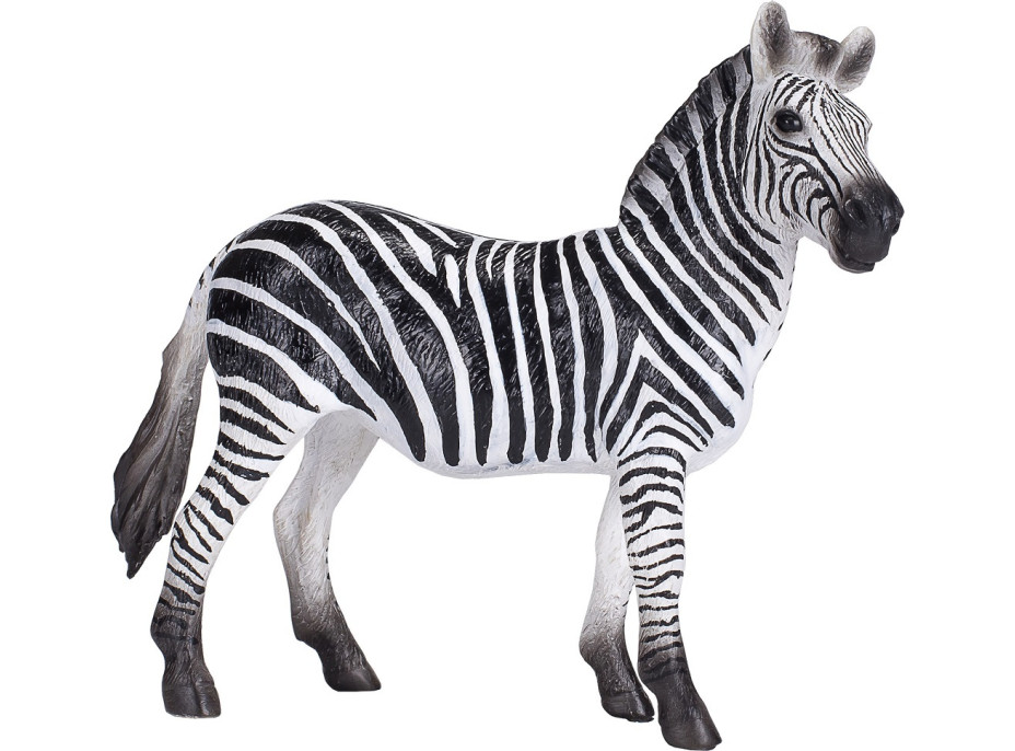 Mojo Zebra klisna