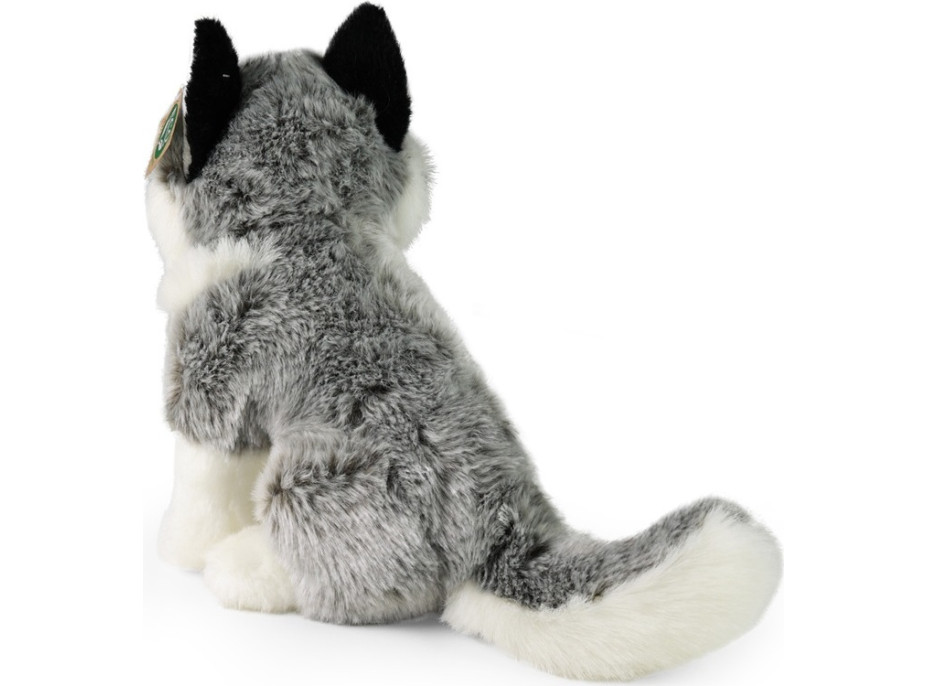 Rappa Plyšový pes Husky sedící 30 cm ECO-FRIENDLY