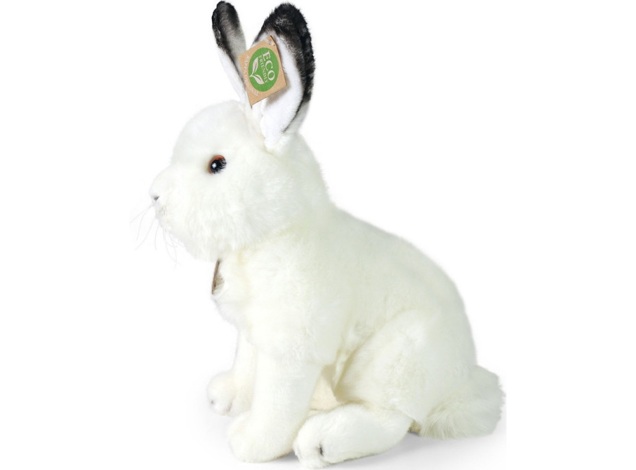 Rappa Plyšový zajíc polární sedící 30 cm ECO-FRIENDLY