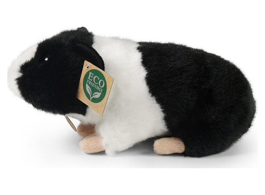 Rappa Plyšové morče 22 cm ECO-FRIENDLY