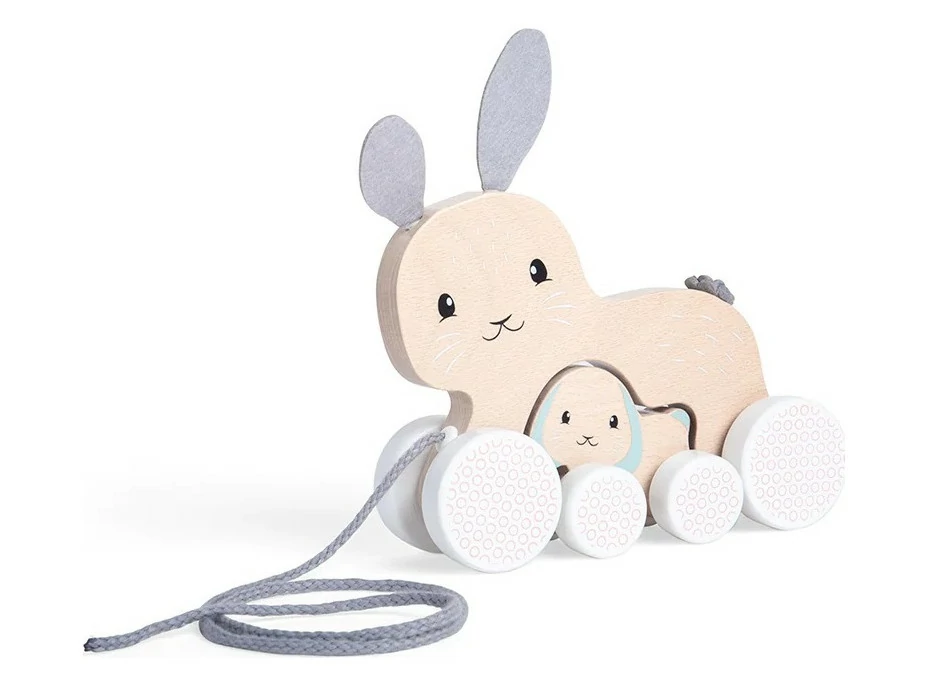 Bigjigs Toys Tahací zajíček s mládětem