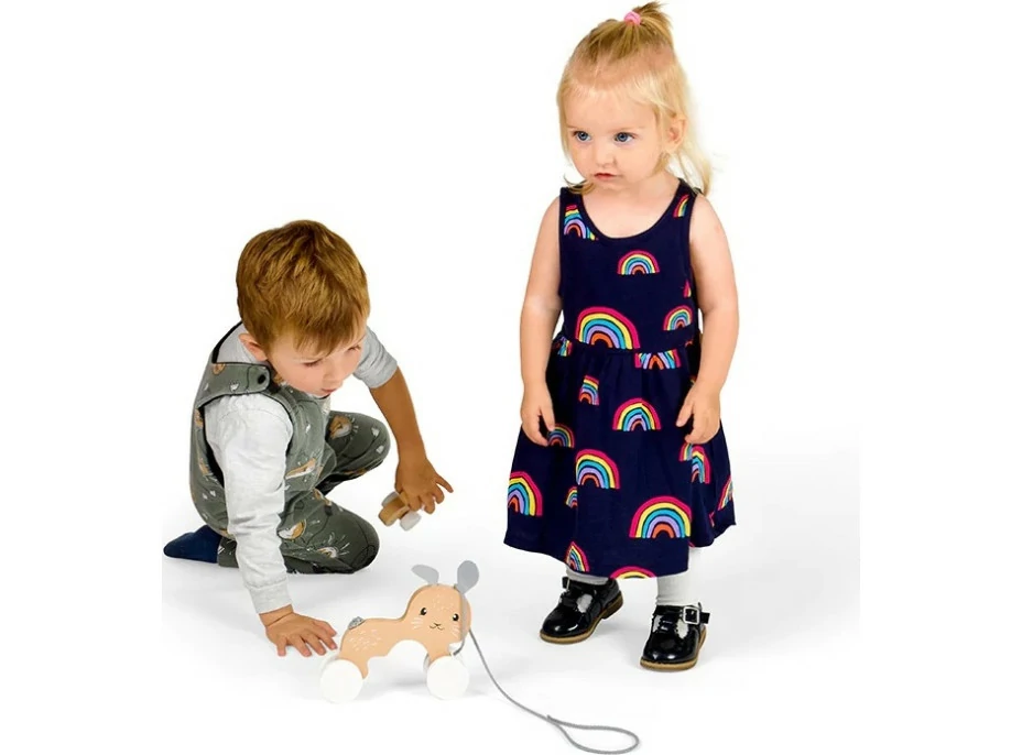 Bigjigs Toys Tahací zajíček s mládětem