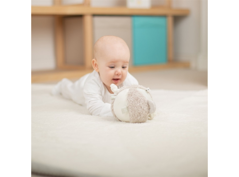 Bigjigs Baby Medvídek chrastítko aktivní míč