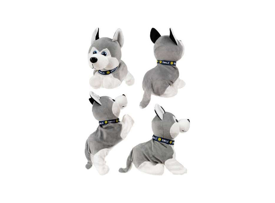 Interaktivní pes Husky
