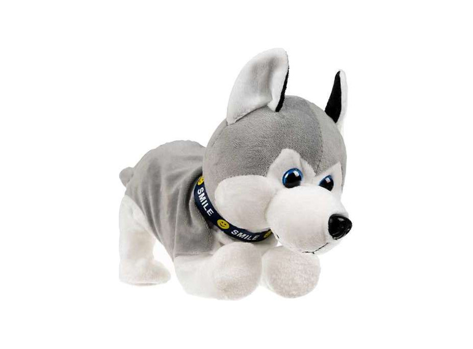 Interaktivní pes Husky